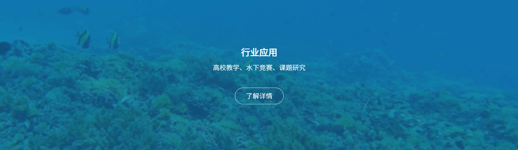 線(xiàn)缆式遥控无人潜水器原型测试机ROBOLAB-ROV